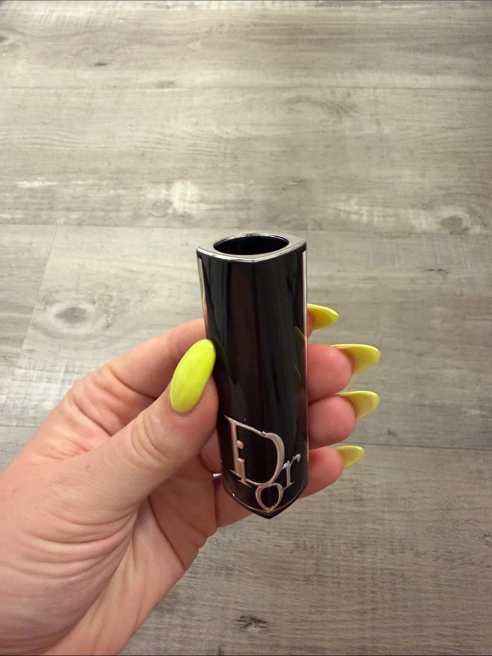 Dior addict lip case